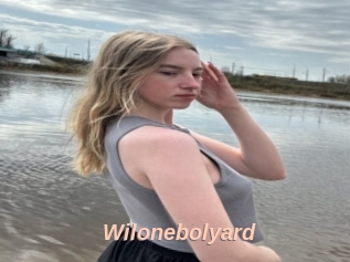 Wilonebolyard