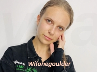Wilonegoulder