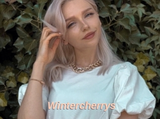 Wintercherrys