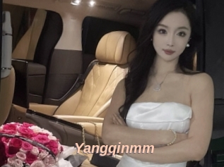 Yangqinmm