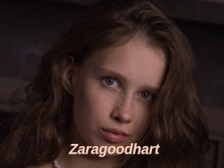 Zaragoodhart